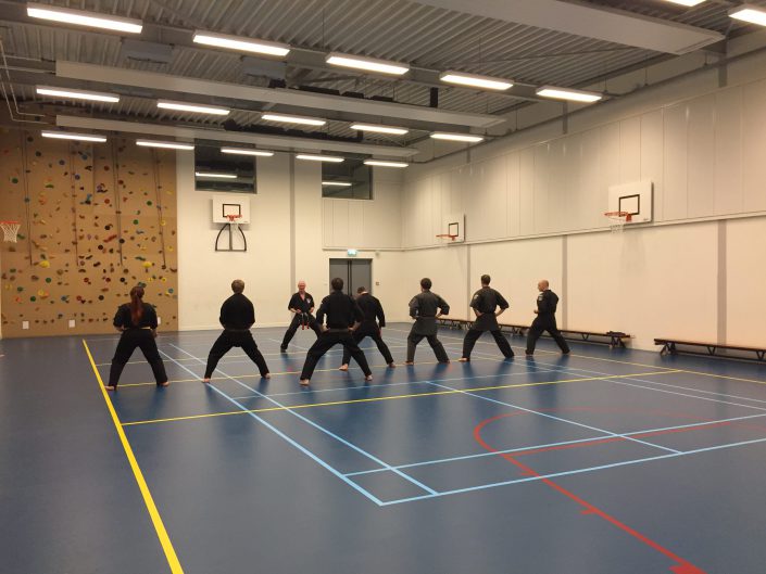 Mooie, brede, lage horse stances